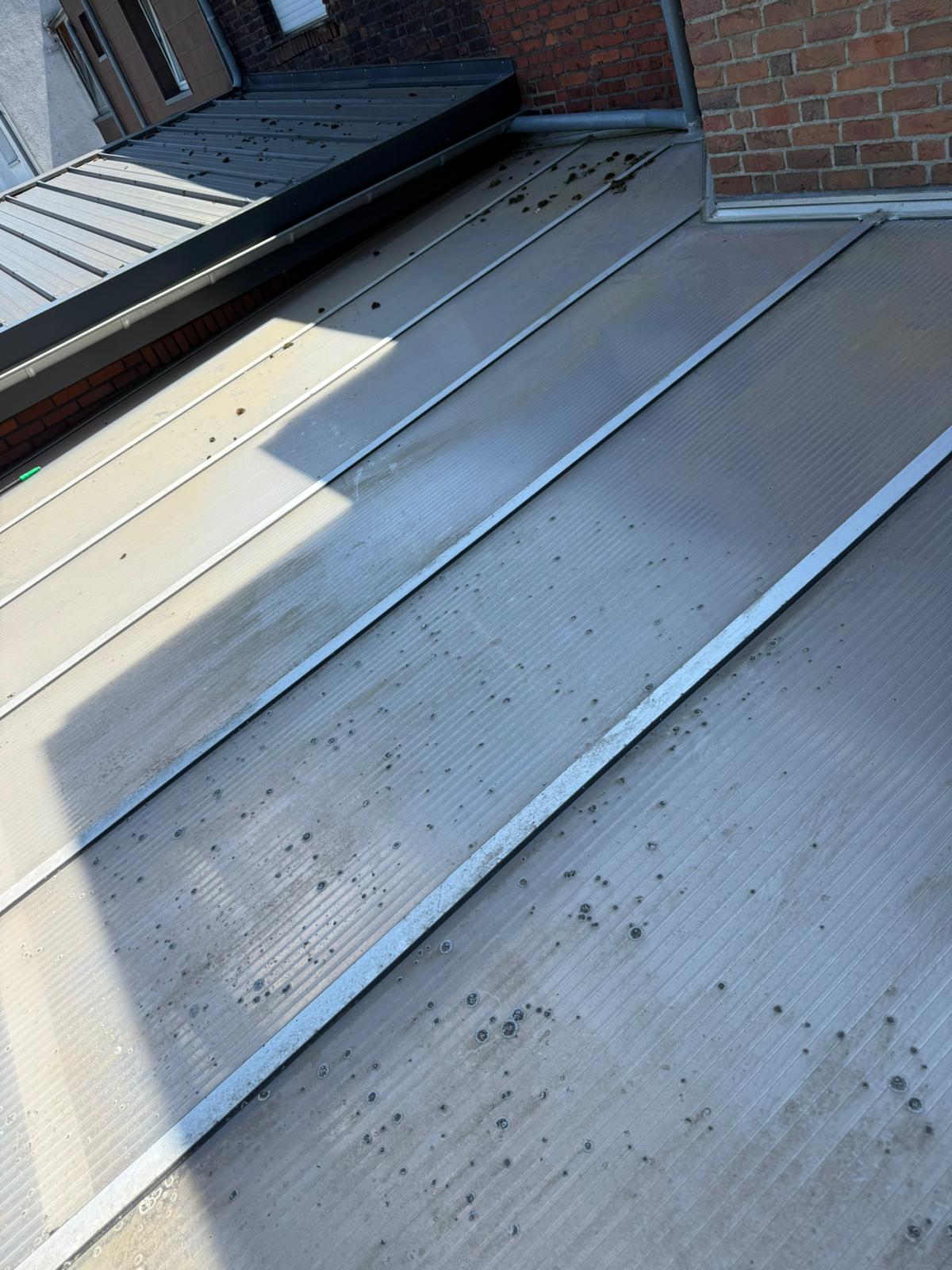 Vorher – Stegplatten- / Glasdachreinigung